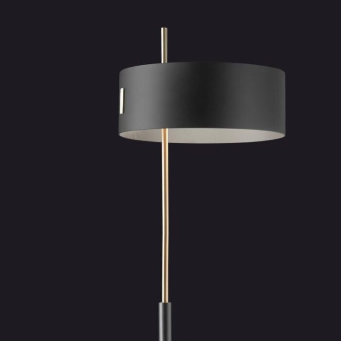 1953 floor lamp by ostuni e forti for oluce 3