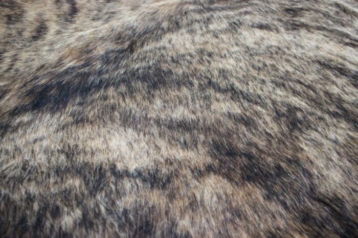 Cow Skin Brown Brindle 6 master