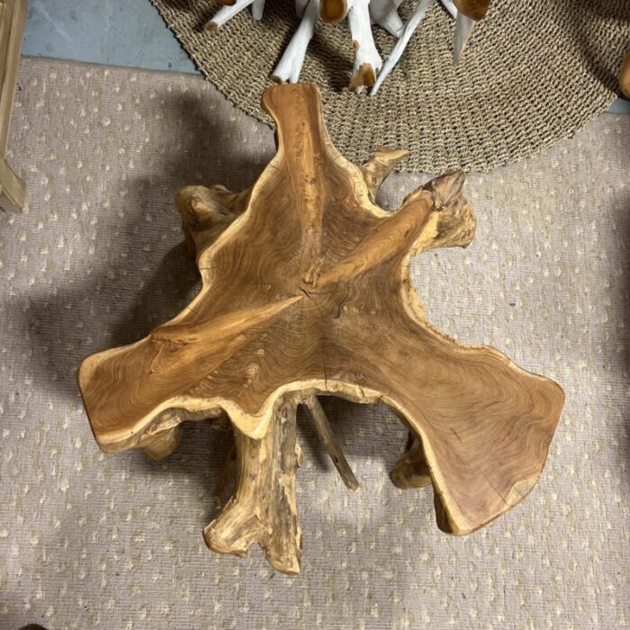 natural teak root coffee table 1398