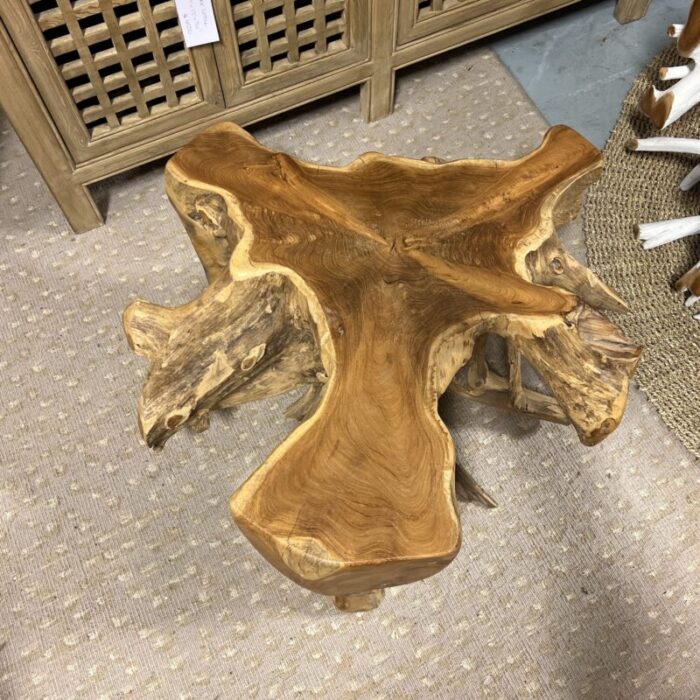 natural teak root coffee table 3396